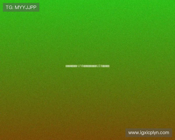 感受德国足球氛围 U16国少队现场观摩门兴U23队精彩对决